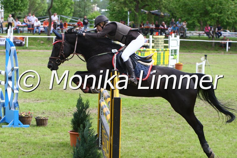 005M7106_Camira_M Springen x.JPG